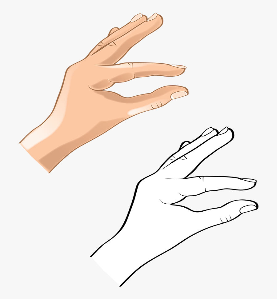 Transparent Hand Vector Png - Art, Transparent Clipart