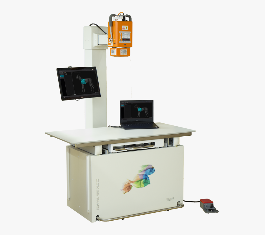 X Ray Veterinary System, Transparent Clipart