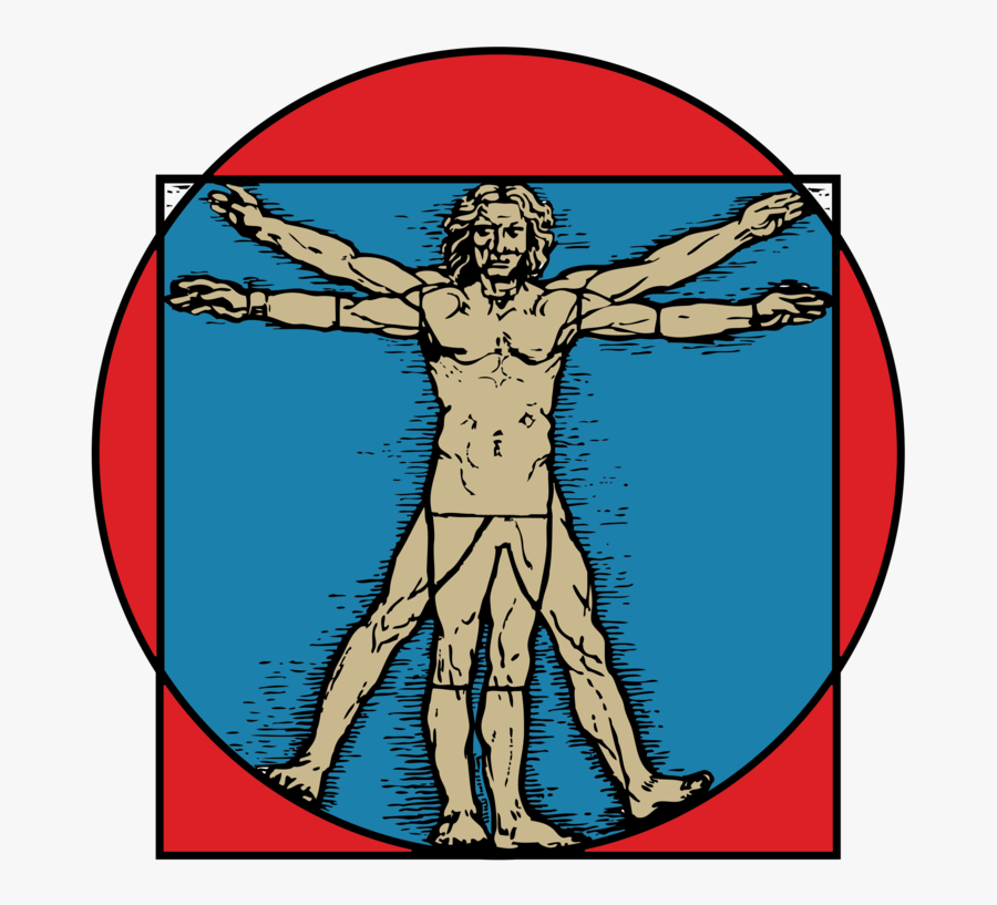 Mark Cafagna Chiropractor In San Marcos - Vitruvian Man, Transparent Clipart