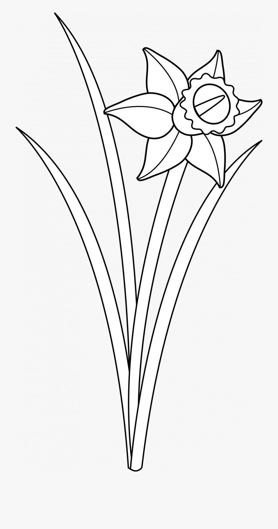 Flower Line Drawing Ai Artist Clipart Images Free Books - Clip Art ...