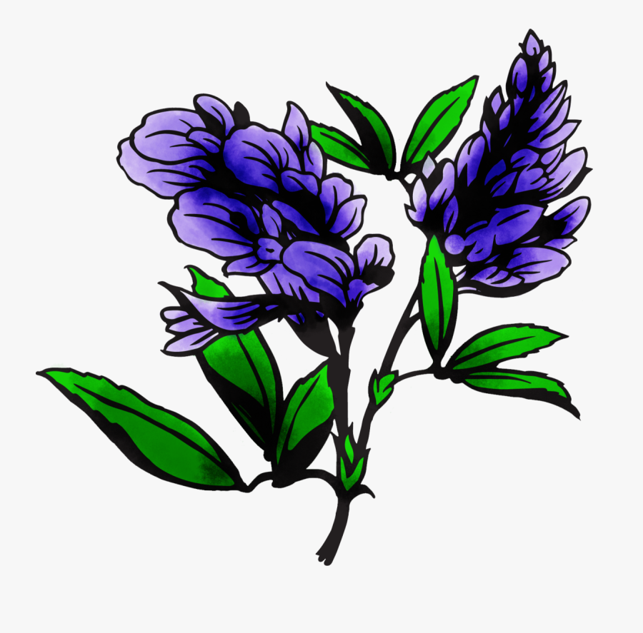 Image, Transparent Clipart