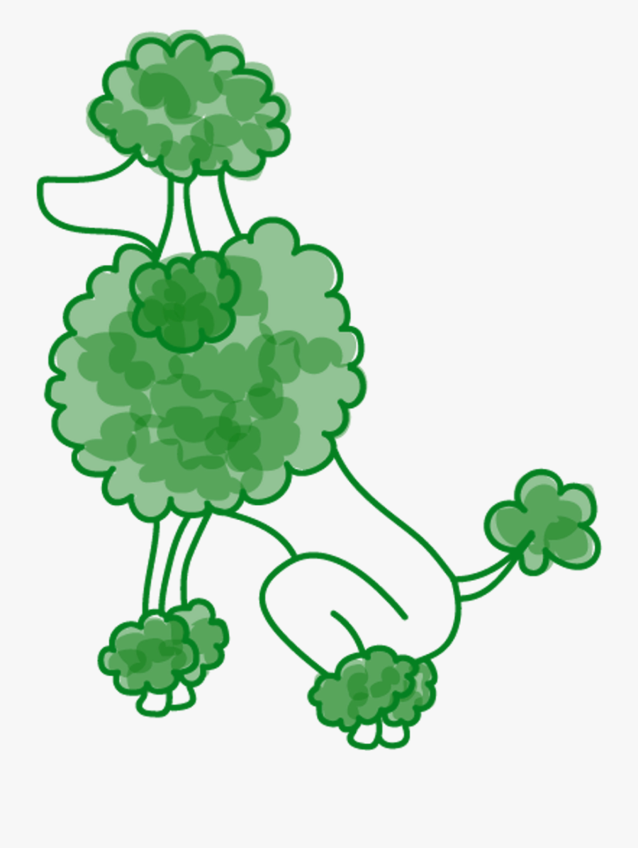 Picture, Transparent Clipart