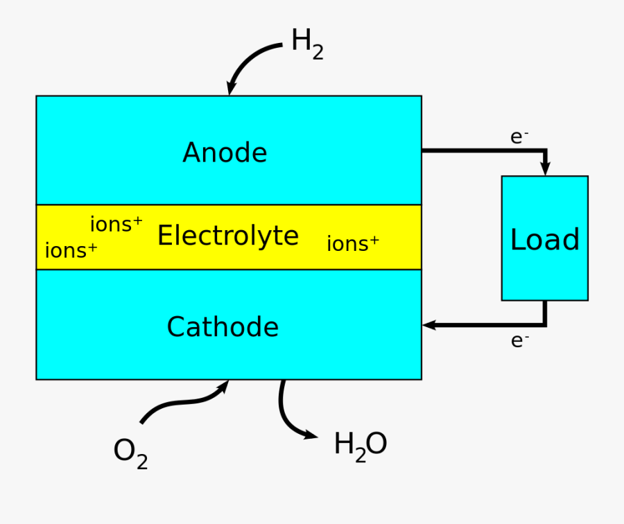 Inside Of A Fuel Cell, Transparent Clipart