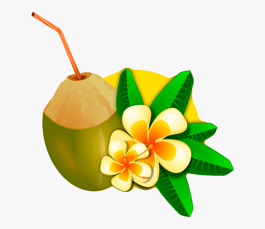 Palm Flower & Coconut Clipart, Transparent Clipart
