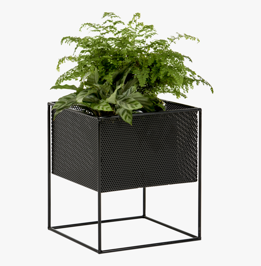 Planter Boxes Png - Planters Png, Transparent Clipart