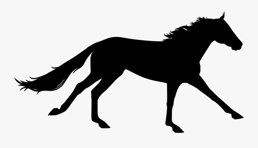 Running Horse Silhouette Png - Clipart Horse Galloping Silhouette, Transparent Clipart