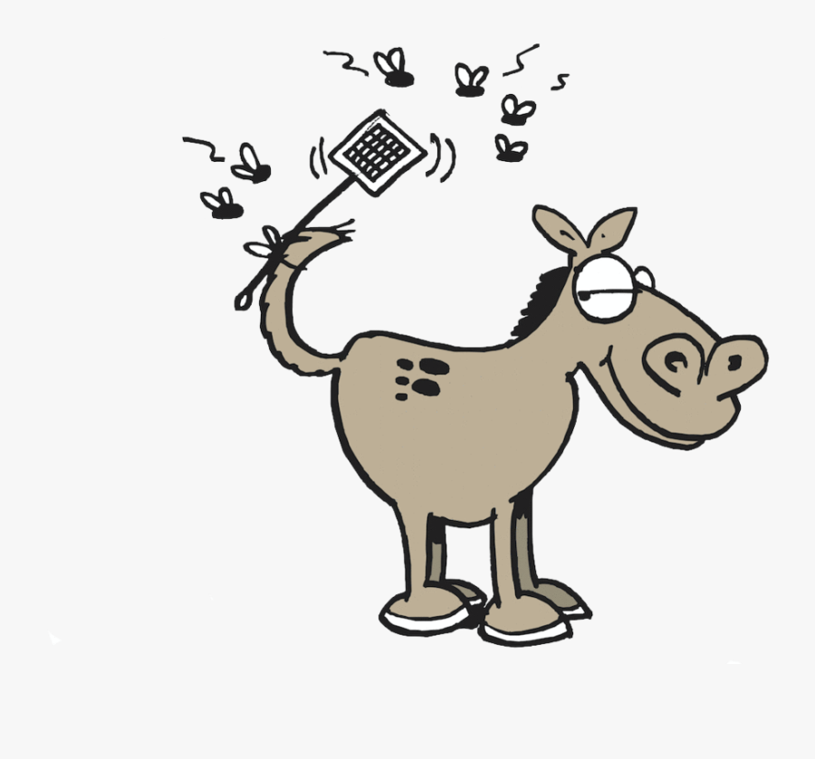 Natural Fly Spray Recipe - Vector Graphics, Transparent Clipart