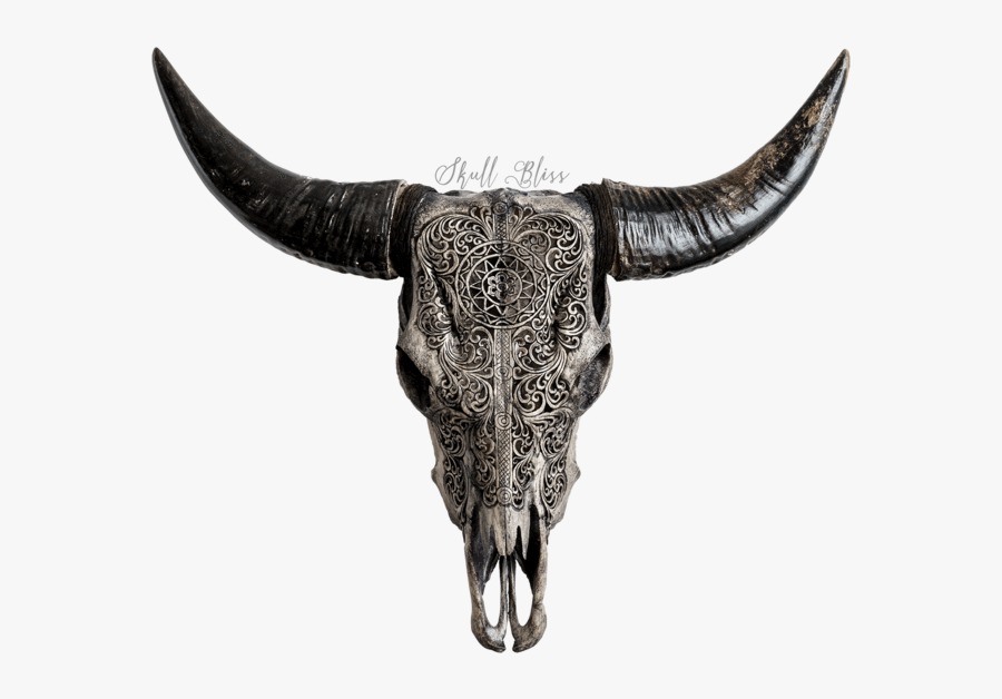 Skull Variant Skull Only - Skull Bliss, Transparent Clipart