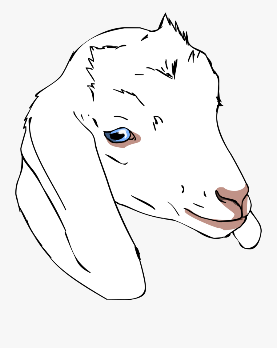 Goat Head Drawing For Kids Goat Drawing For Kids Goat - Draw A Goat Head, Transparent Clipart