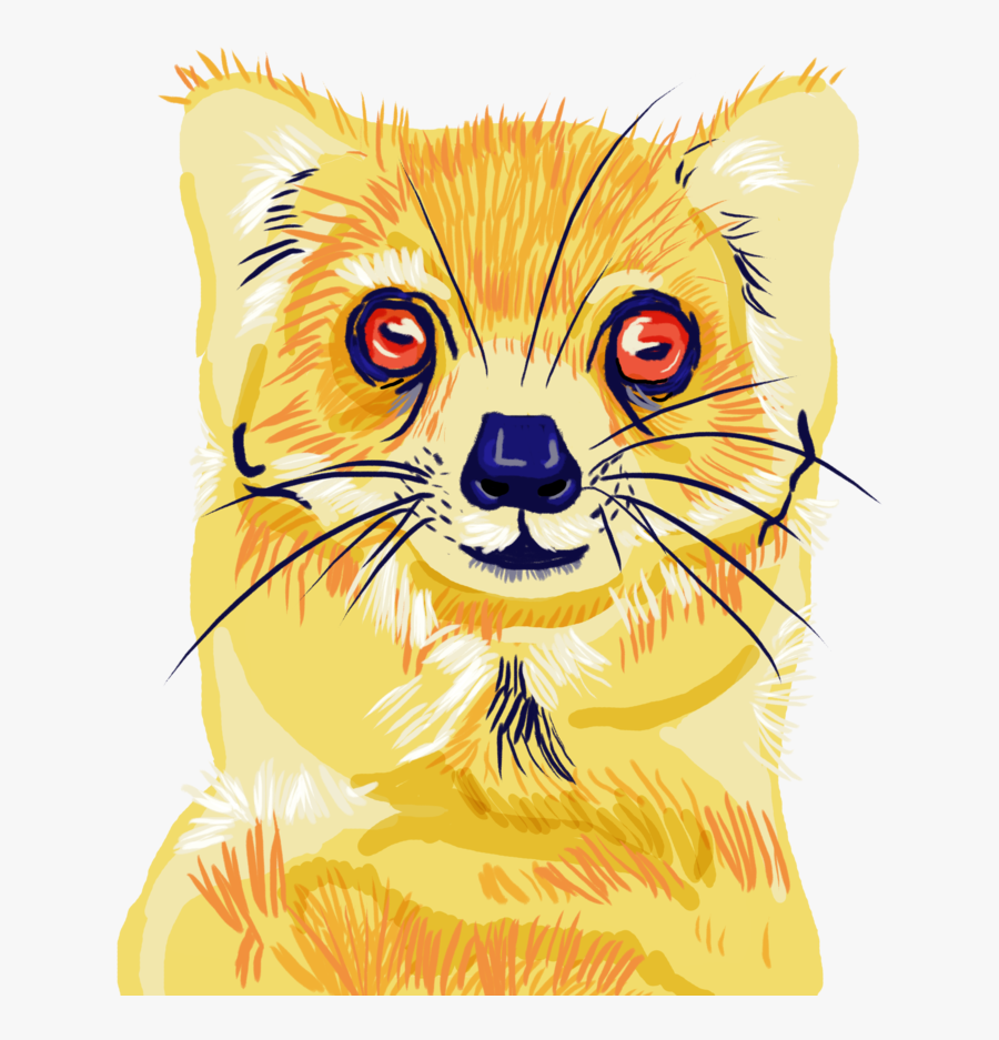 Transparent Mongoose Png - Illustration, Transparent Clipart