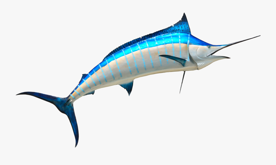 Fish Png, Transparent Clipart
