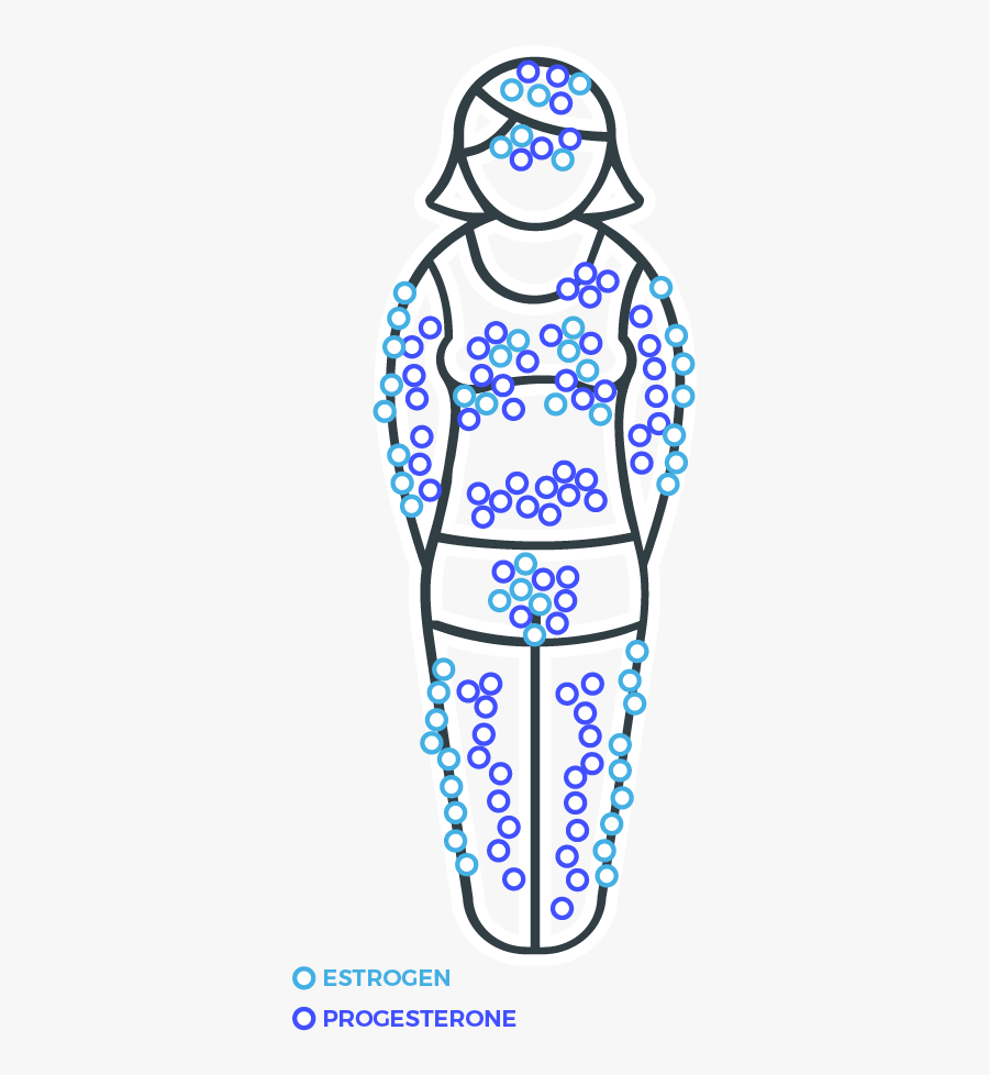 Why Some Women Experience Symptoms As Hormones Change, Transparent Clipart