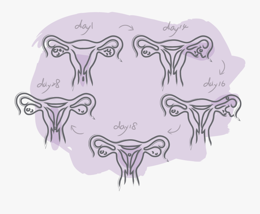 Drawing, Transparent Clipart