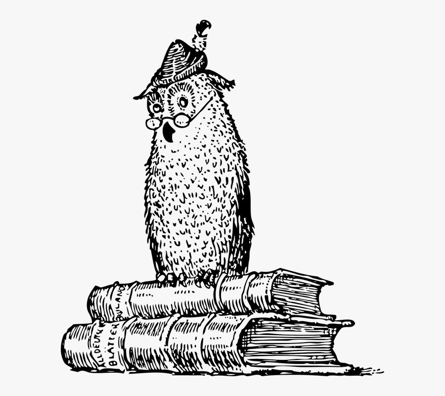 Owl, Books, Knowledge, Wisdom, Study, University - Wisdom Black And White, Transparent Clipart
