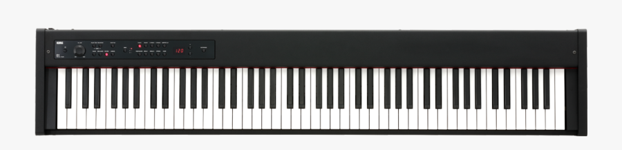Tom Lee Music Korg - Korg Digital Piano D1, Transparent Clipart