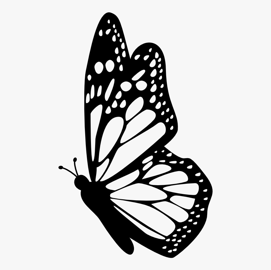 Interesting Facts About Butterflies - Butterfly Outline Side View, Transparent Clipart