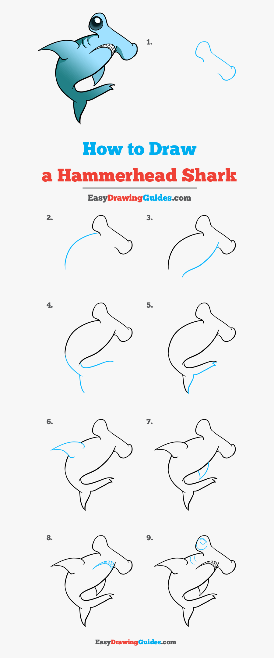 How To Draw Hammerhead Shark - Hammerhead Shark Drawing Easy, Transparent Clipart