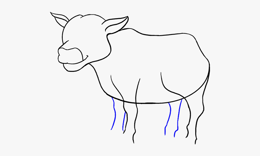 Drawn Turkey Moo Cow - Draw A Cow Cartoon is a free transparent background ...