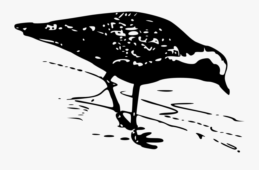 European Golden Plover, Transparent Clipart