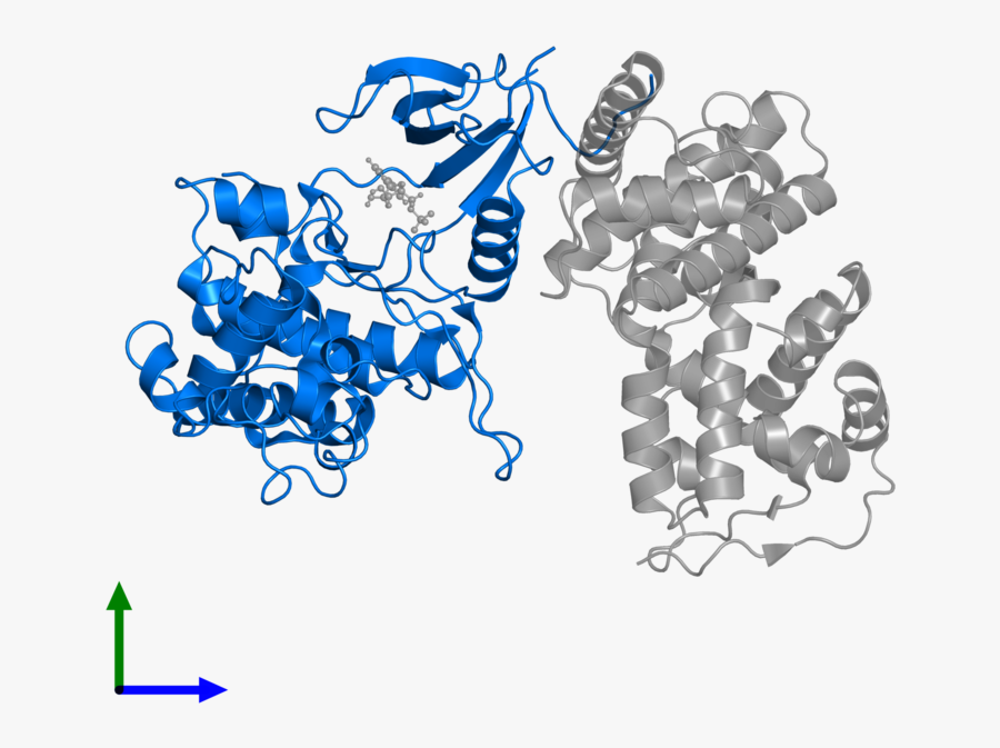 Entity 1, Front View - Illustration, Transparent Clipart
