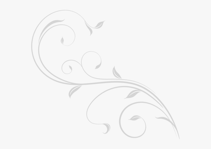 White Swirl Png Page - Sketch, Transparent Clipart