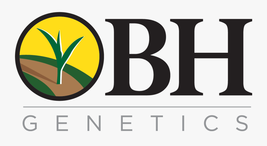 Image - Triumph Business Capital Logo, Transparent Clipart