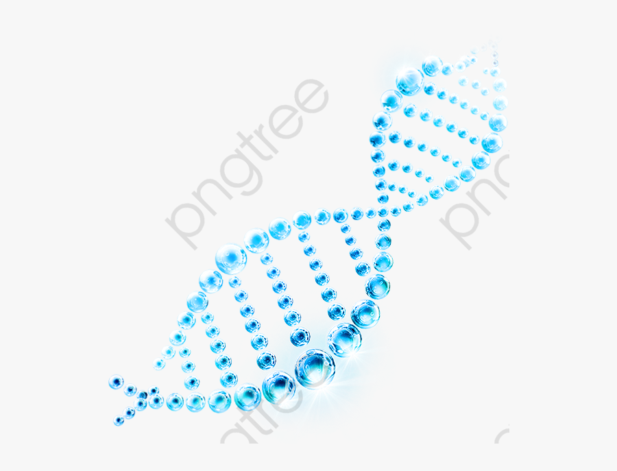 Decorative Blue Line Png - Adn Violet, Transparent Clipart