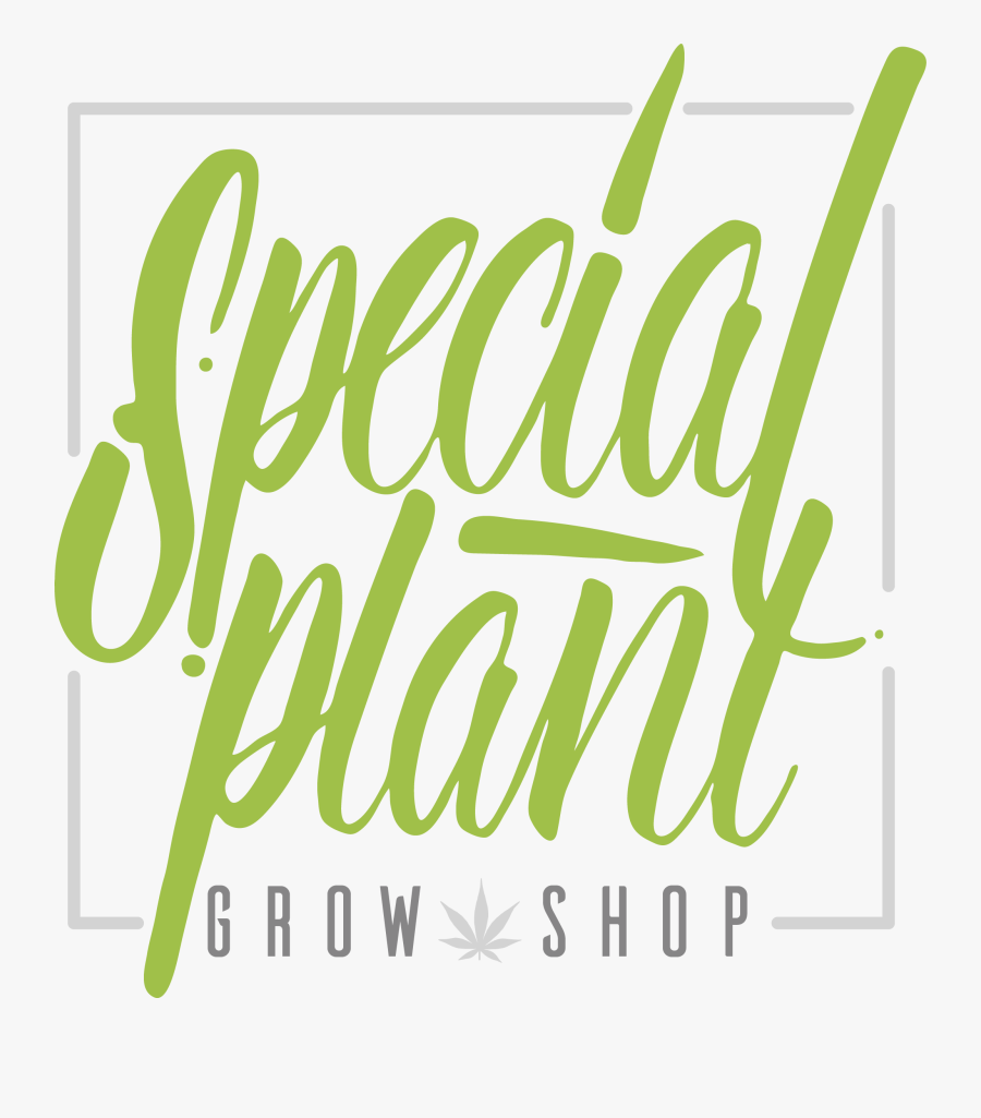 Special Plant Grow Shop - Calligraphy, Transparent Clipart