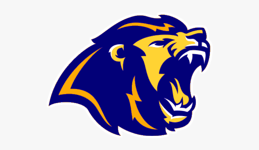 Brown Lion, Transparent Clipart