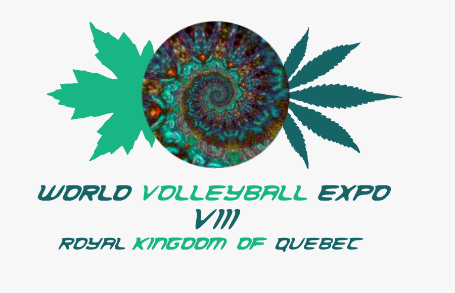 Circle, Transparent Clipart