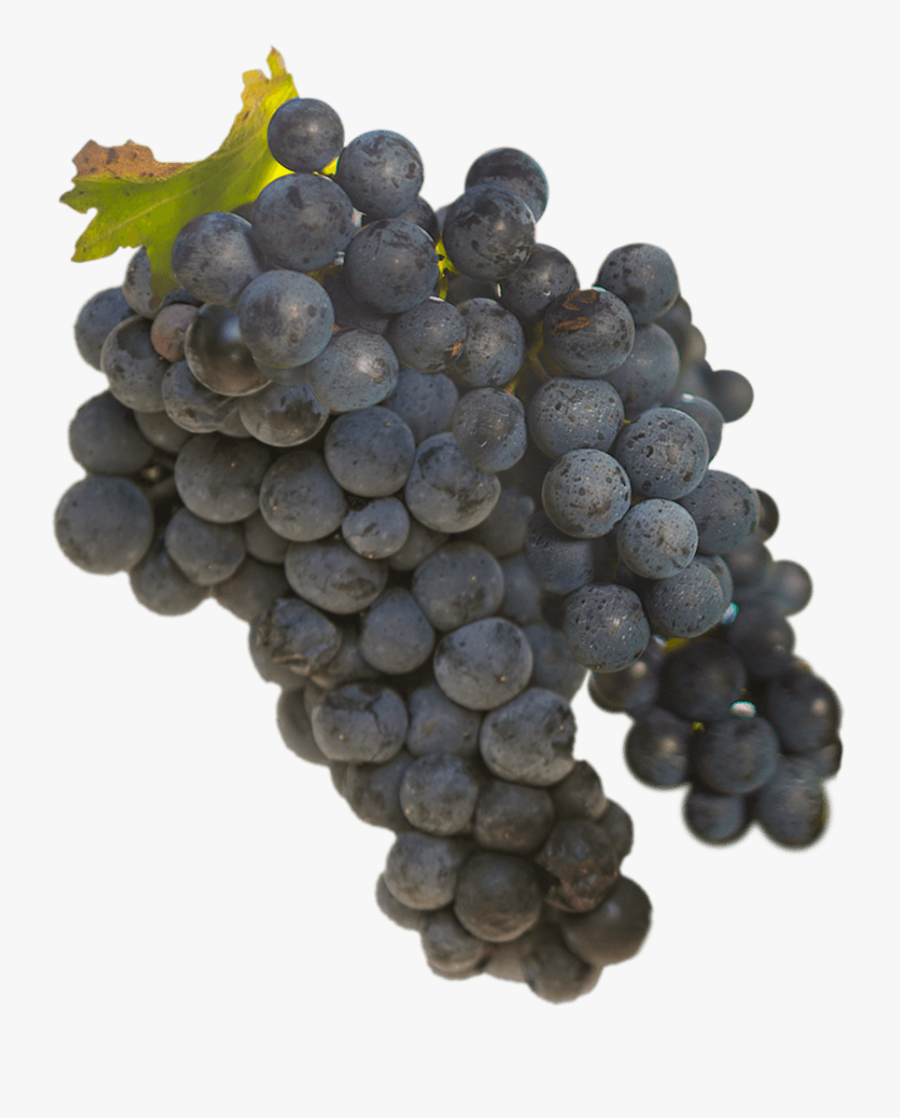 Farming Simulator Clipart Grape - Seedless Fruit, Transparent Clipart