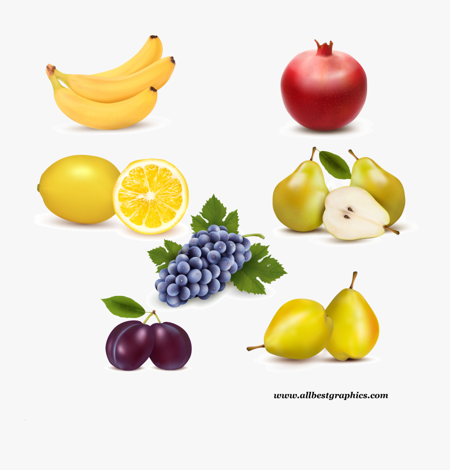 Vector Graphics, Transparent Clipart