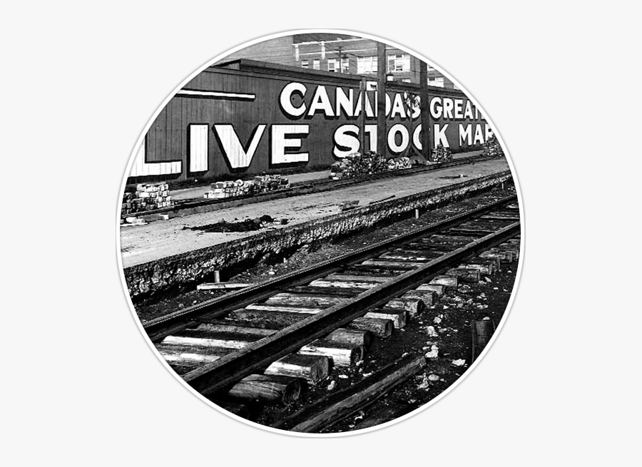 Stockyards - Stockyard Old Photos Of Toronto, Transparent Clipart