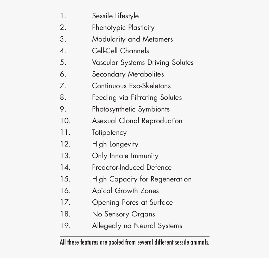 Clip Art Sessile Animals - Funzioni Ausiliarie M Fresa, Transparent Clipart