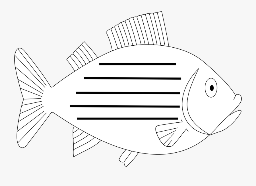 Fish, Aquatic, Fin, Vertebrate, Sea, Swim, Animal - Pomacentridae, Transparent Clipart