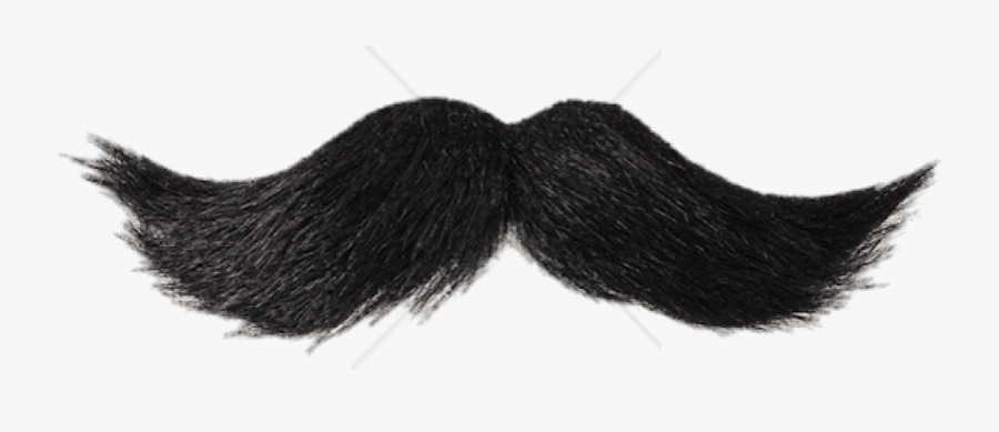 French Mustache Png - Transparent Background Real Mustache Png, Transparent Clipart