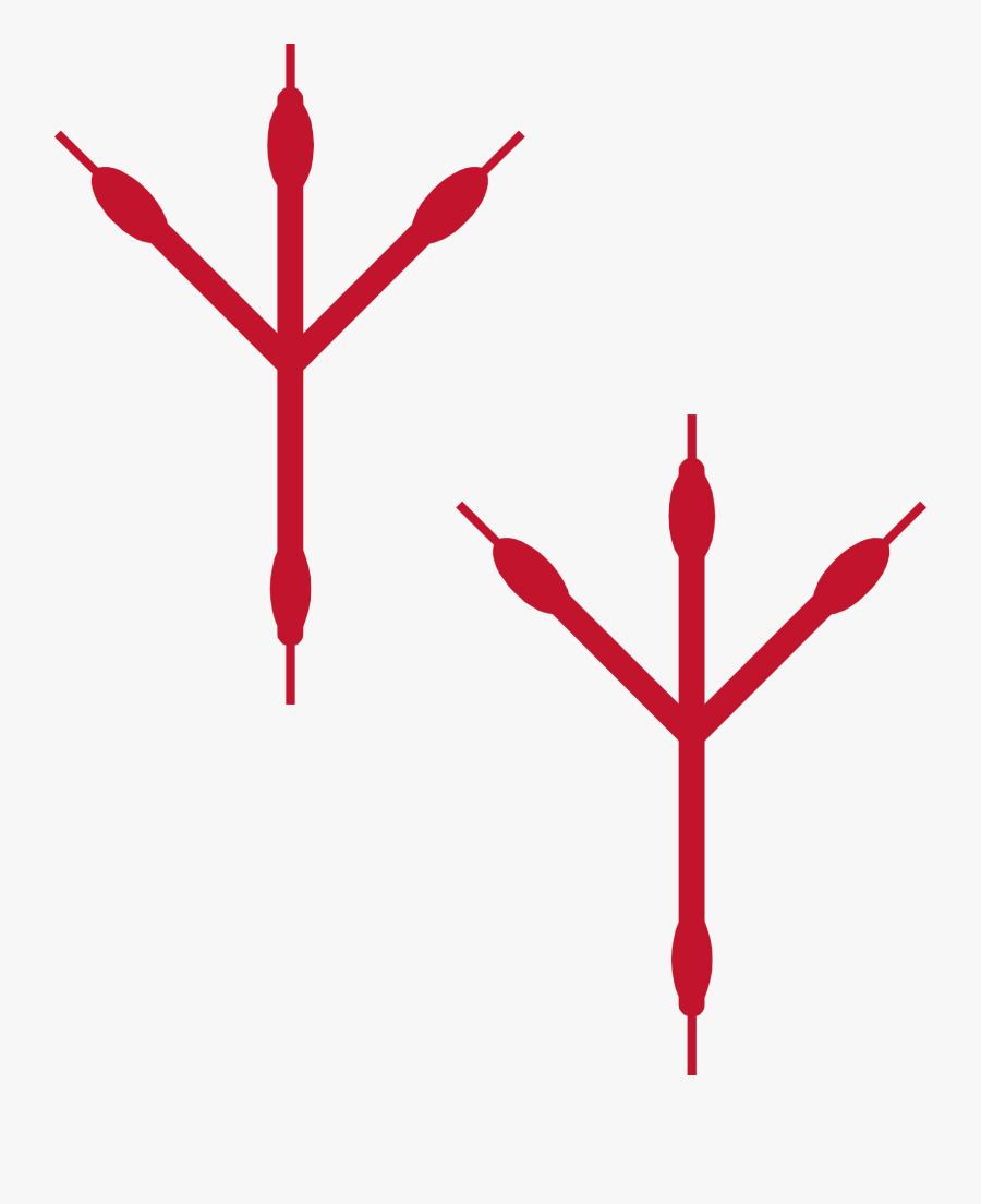 Bird Footprints - Bird Footprints Clipart Transparent, Transparent Clipart