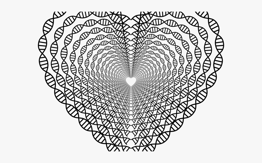 Transparent Doily Clipart Transparent - Circle, Transparent Clipart