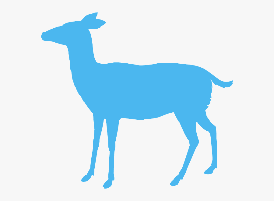 Pink Transparent Doe Silhouette , Transparent Cartoons - Pink Doe Silhouette, Transparent Clipart