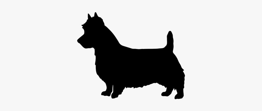 Pembroke Welsh Corgi Australian Terrier Bull Terrier - Dog Silhouette Cut Out, Transparent Clipart