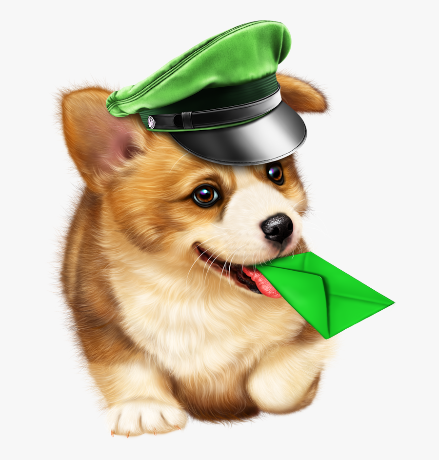 Small Dogs, Dog Pictures, Pippi, Post, Corgis, Babys, - Dog, Transparent Clipart