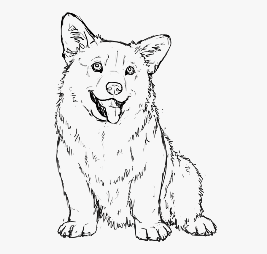 Collection Of Free Drawing - Corgi Dog Coloring Page, Transparent Clipart