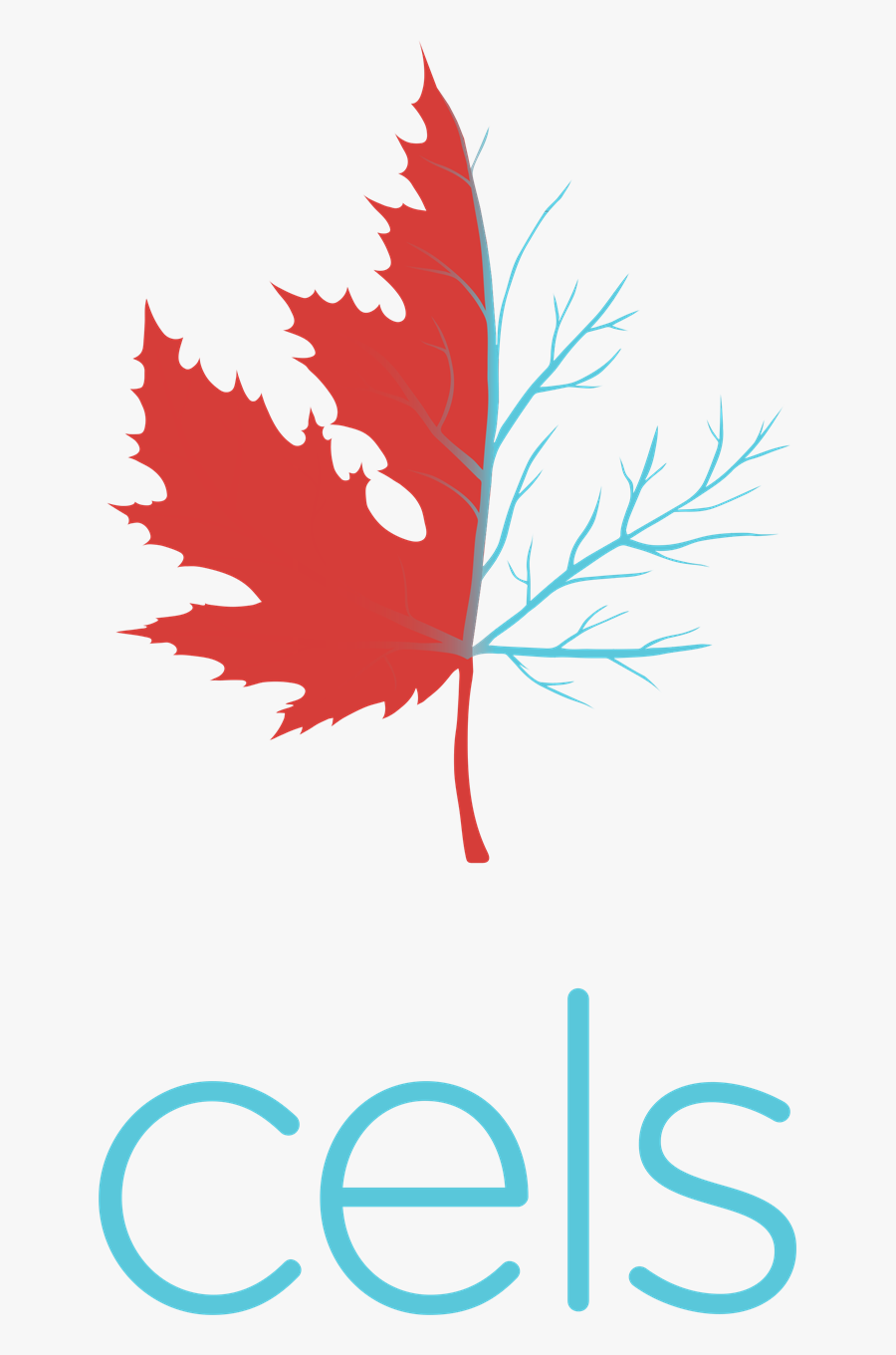 Cels San Francisco, Transparent Clipart