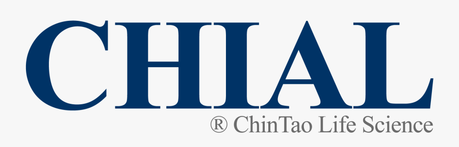 Chial - Net, Transparent Clipart