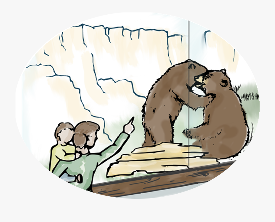 Cartoon, Transparent Clipart