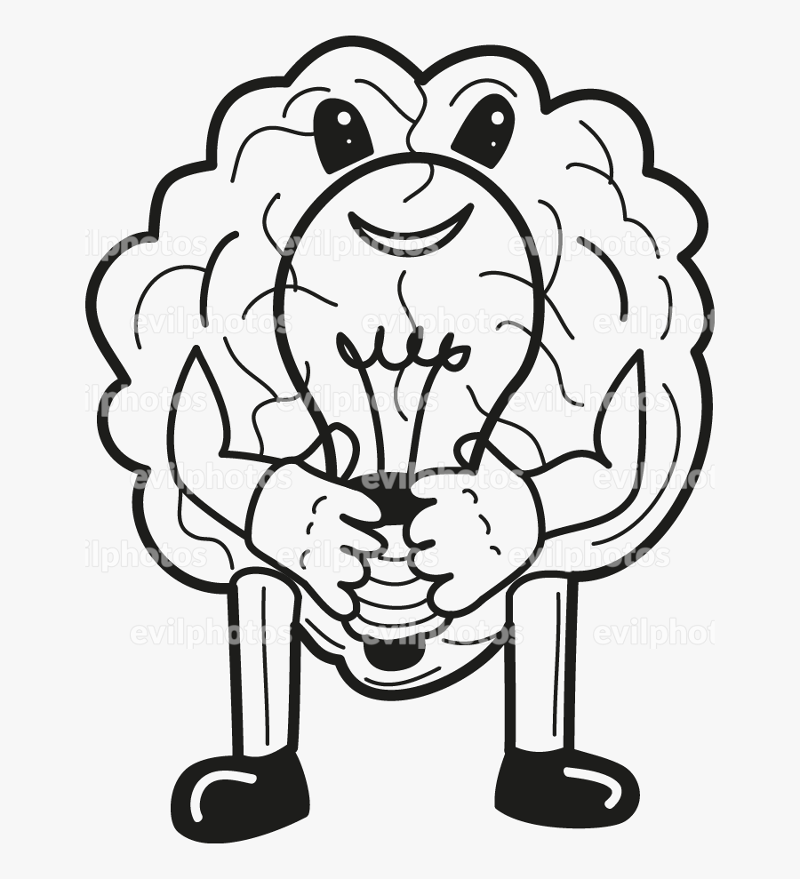 Brain Drawing Vector And Stock Photo, Transparent Clipart