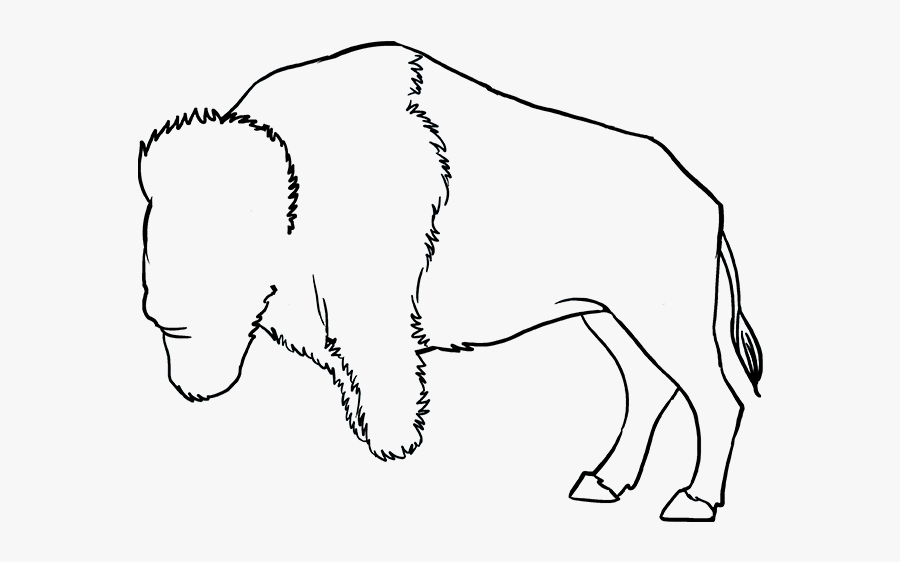 How To Draw Buffalo - Sketch Of A Buffalo, Transparent Clipart