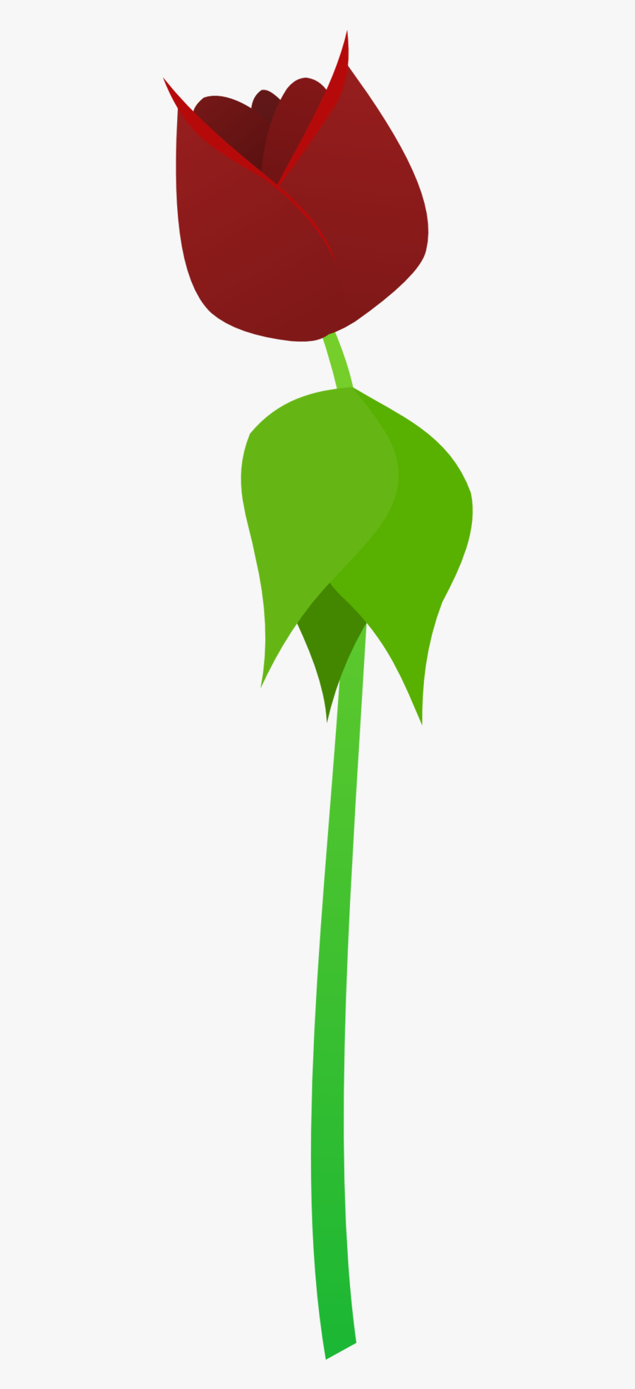 Rose, Transparent Clipart