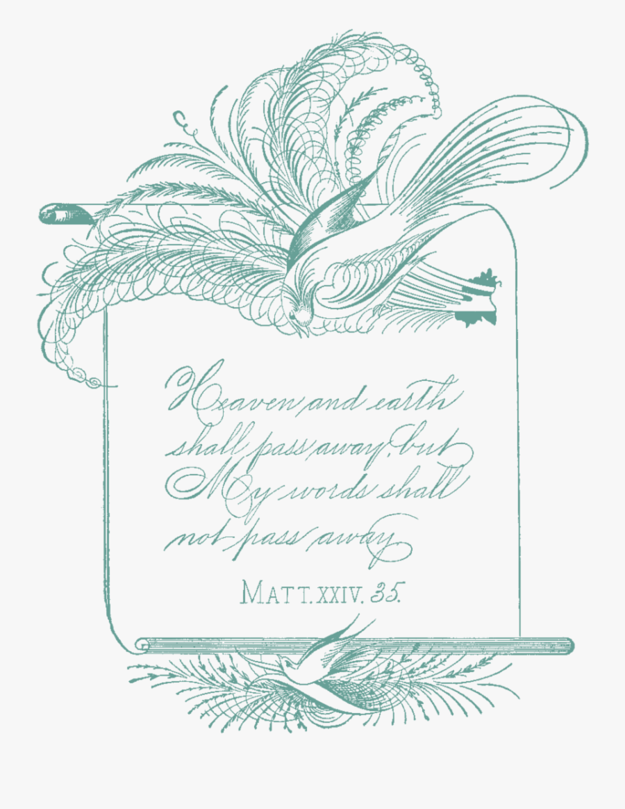 Clip Art, Transparent Clipart