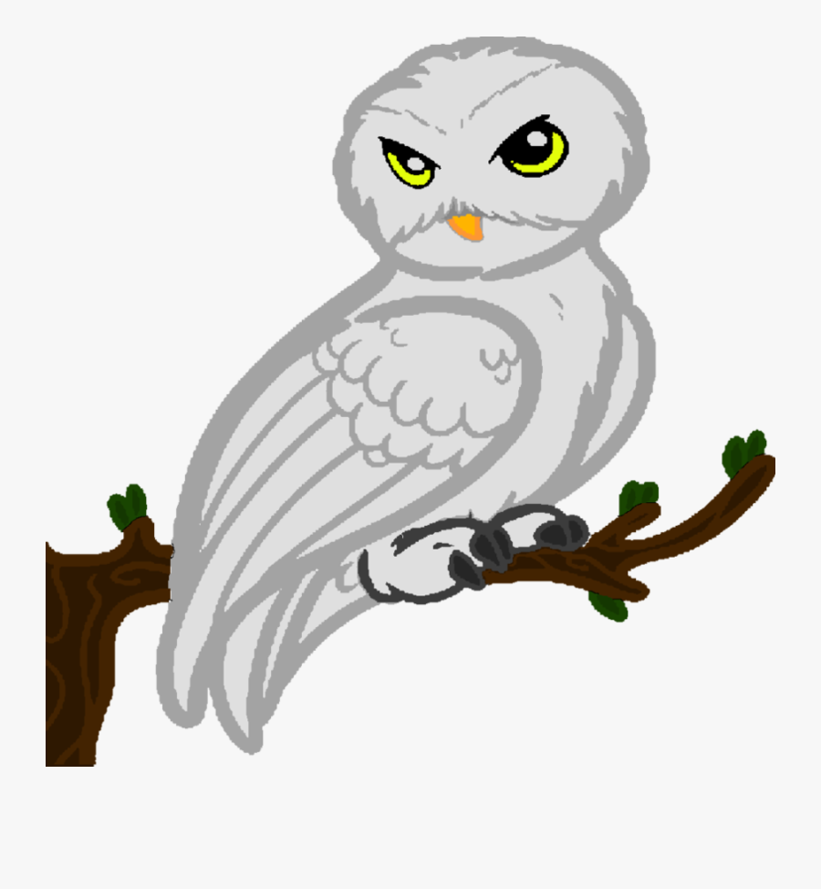 Collection Of Free Hedwig Drawing Realistic Download - Harry Potter Coruja Png, Transparent Clipart